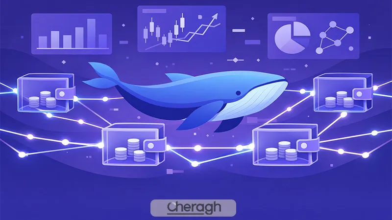 بررسی رفتار نهنگ ها در داده های آنچین