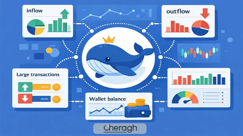 مهمترین شاخصهای آنچین برای ردیابی رفتار نهنگها