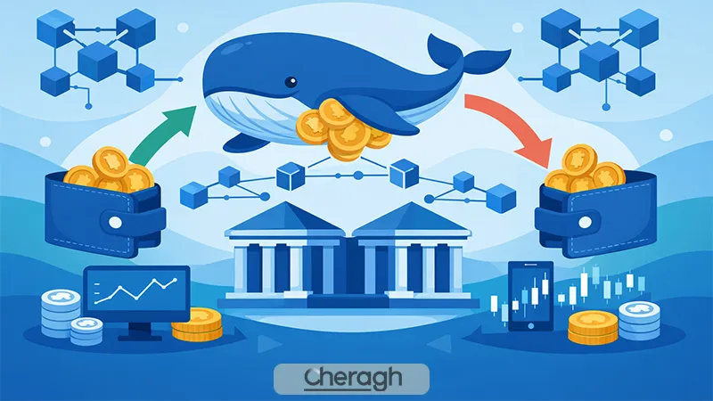 بررسی رفتار نهنگها در صرافیها