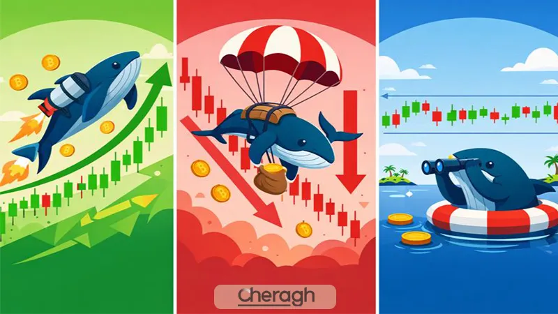 رفتار نهنگها در فازهای مختلف بازار