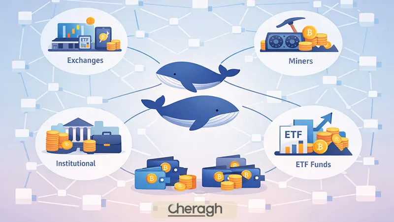 نقش انتیتیها در تحلیل رفتار نهنگها