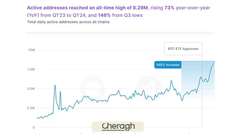 تحلیل آنچین نهنگها