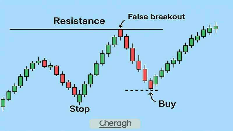 ستاپ سوپ لاکپشت