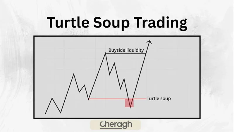 ستاپ سوپ لاکپشت