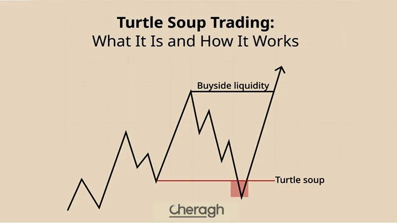 ستاپ ترتل سوپ